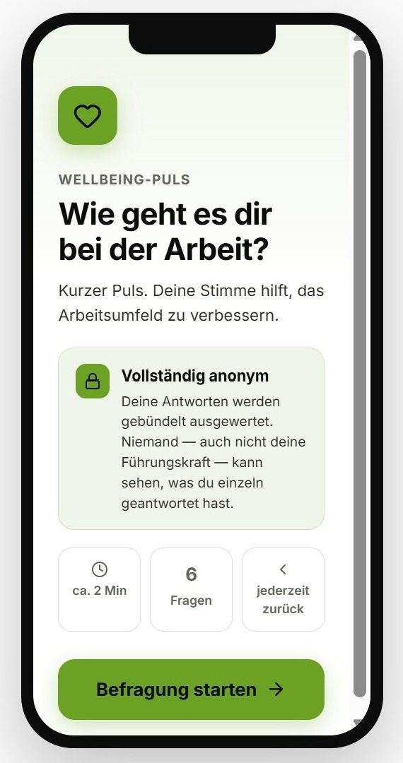 Startbildschirm der Befragung am Handy
